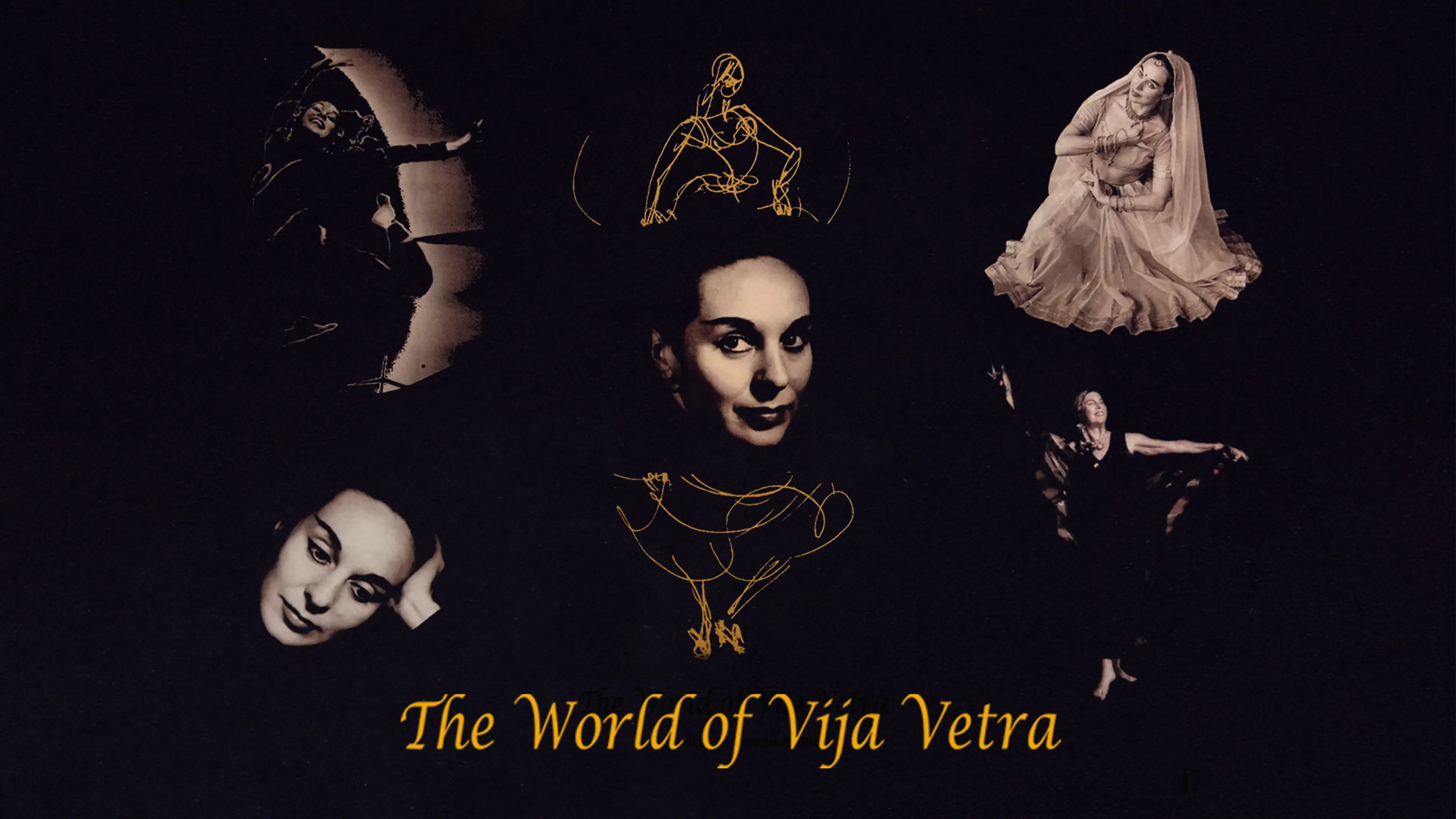 The World of Vija Vetra poster